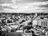 mg_5917