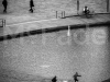 mg_5944