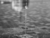 mg_4916-1