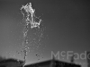 mg_4927-1