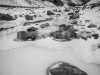 mg_5104