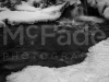 mg_5111