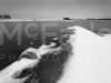 mg_5157