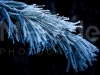 mg_4301