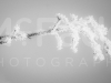 mg_4404