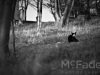 mg_4254