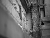 mg_4294