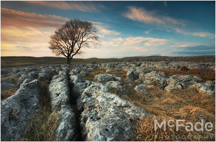 mcfade_landscapes147