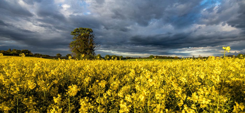 Mind Blowing Depth of Field – Tilt Shift Lenses